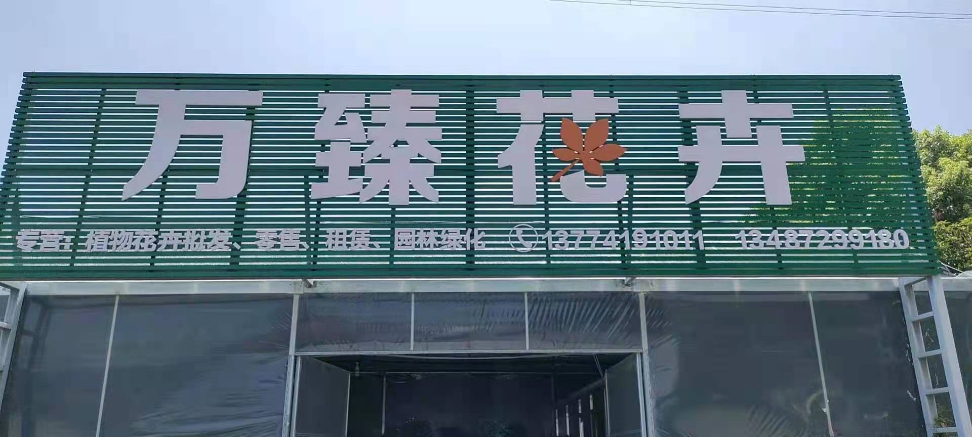 万臻花卉