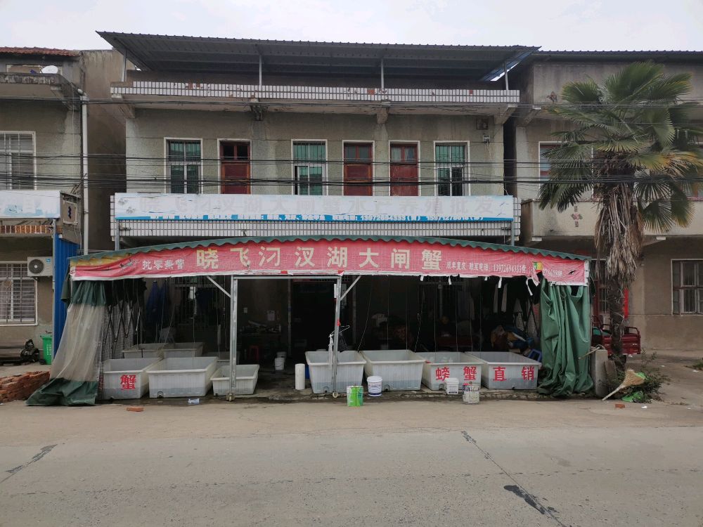 晓飞叼叉湖大闸蟹水产