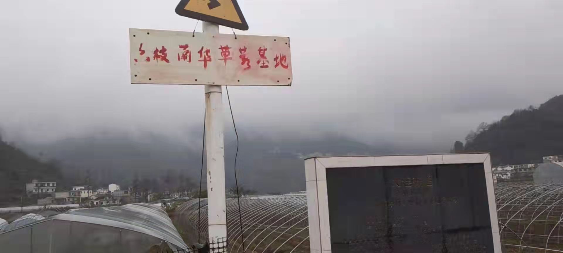 六枝北华草莓园