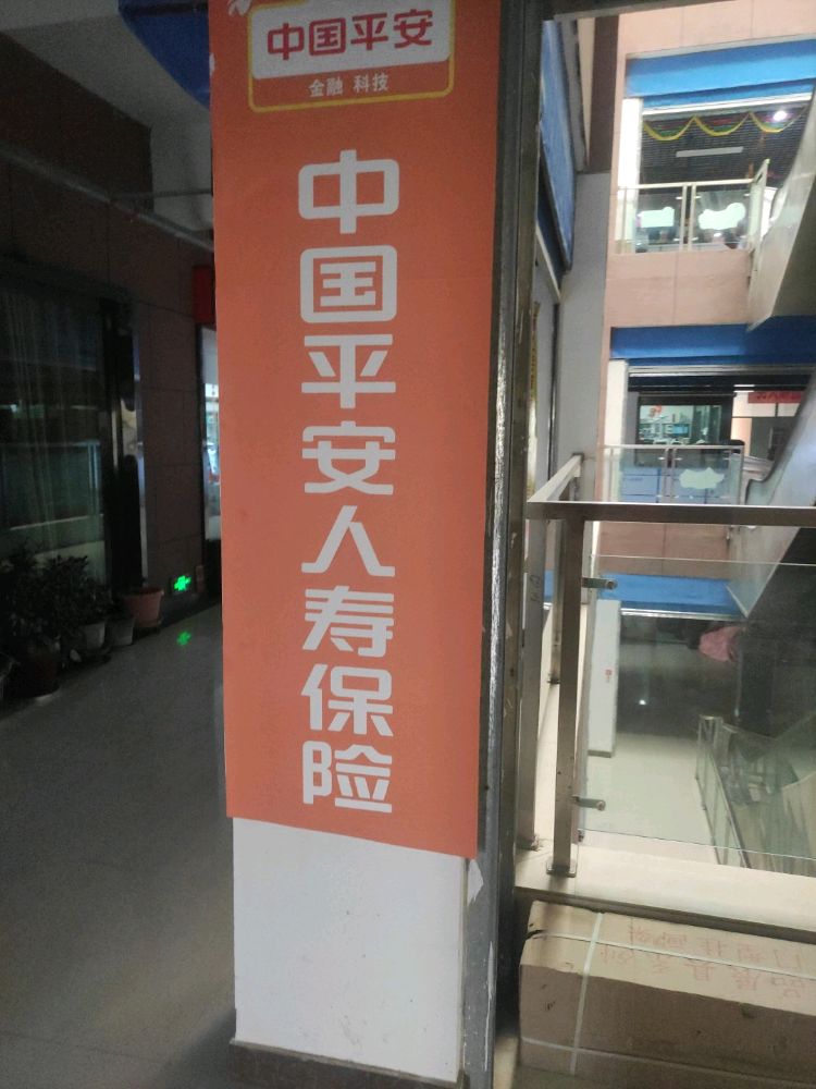 平中国平安人寿保险(领先商业街店)