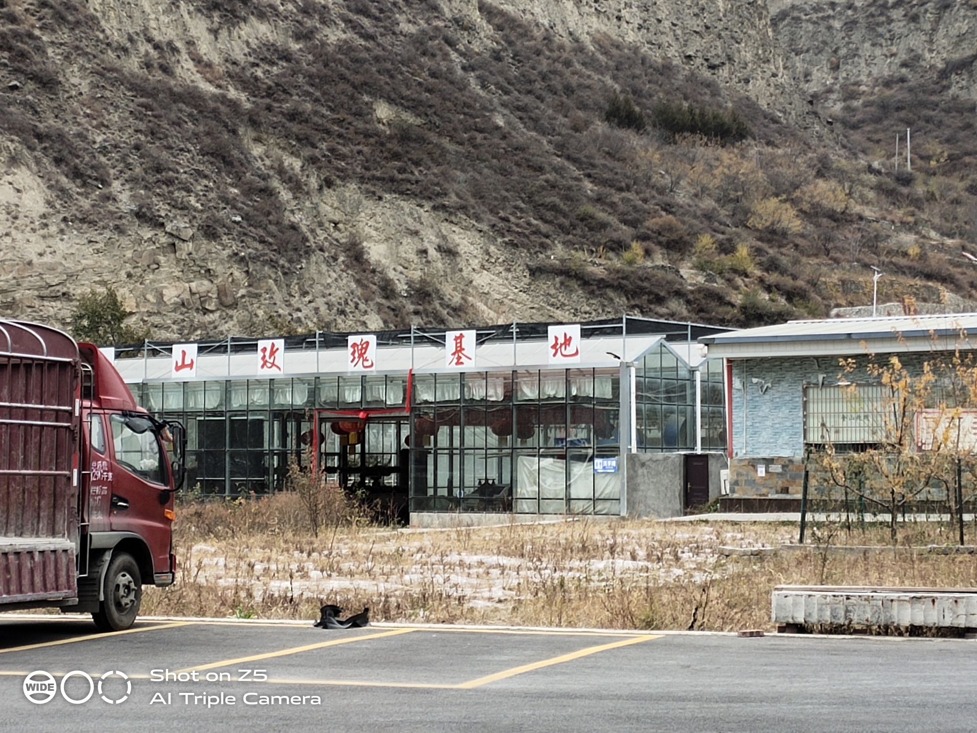 金山玫瑰产业基地