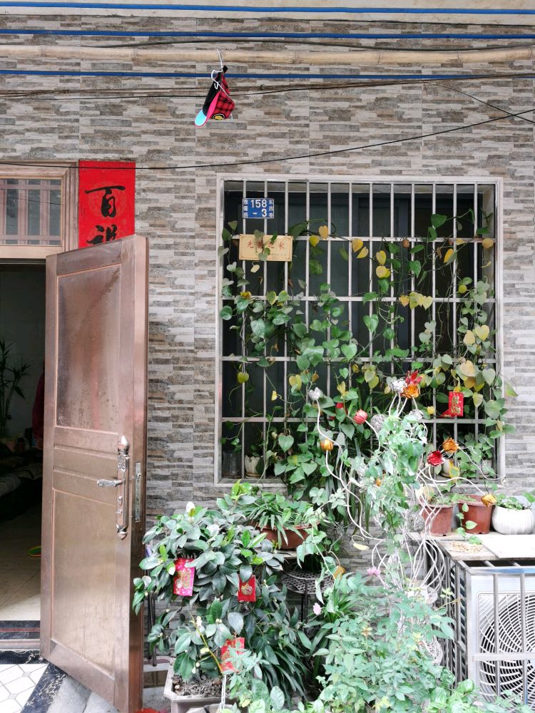 雅儒路东四巷158号之三