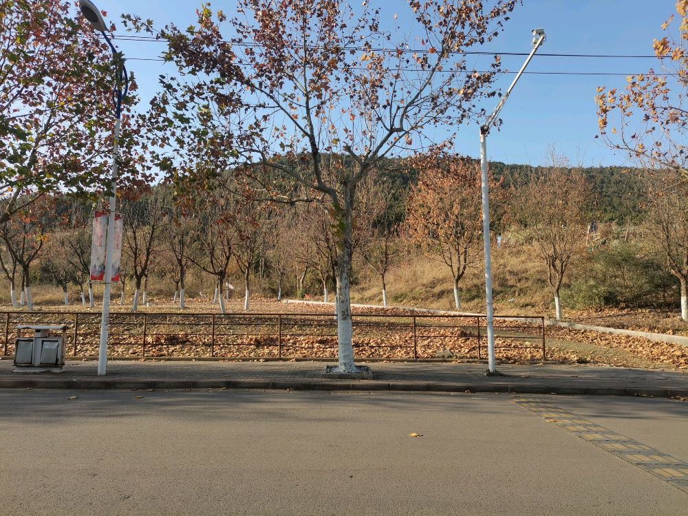 江苏师范大学-山顶风景