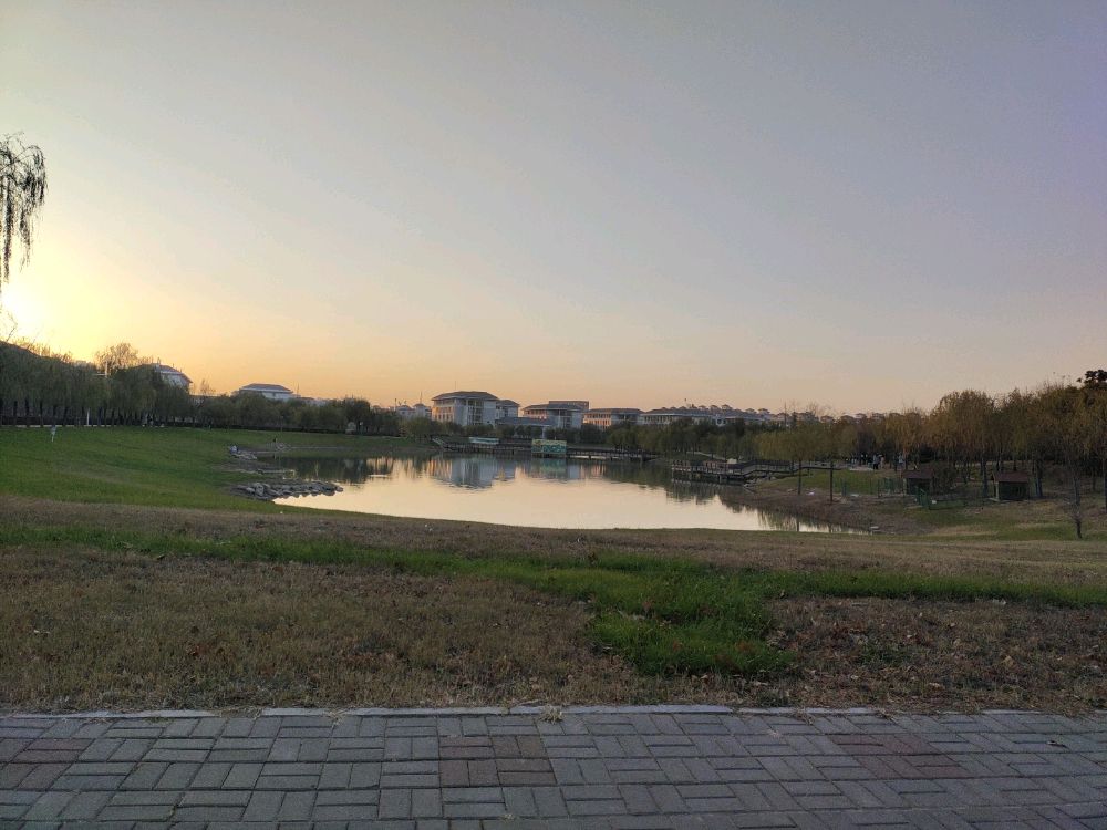 华北水水电大学(龙子湖校区)-景观湖