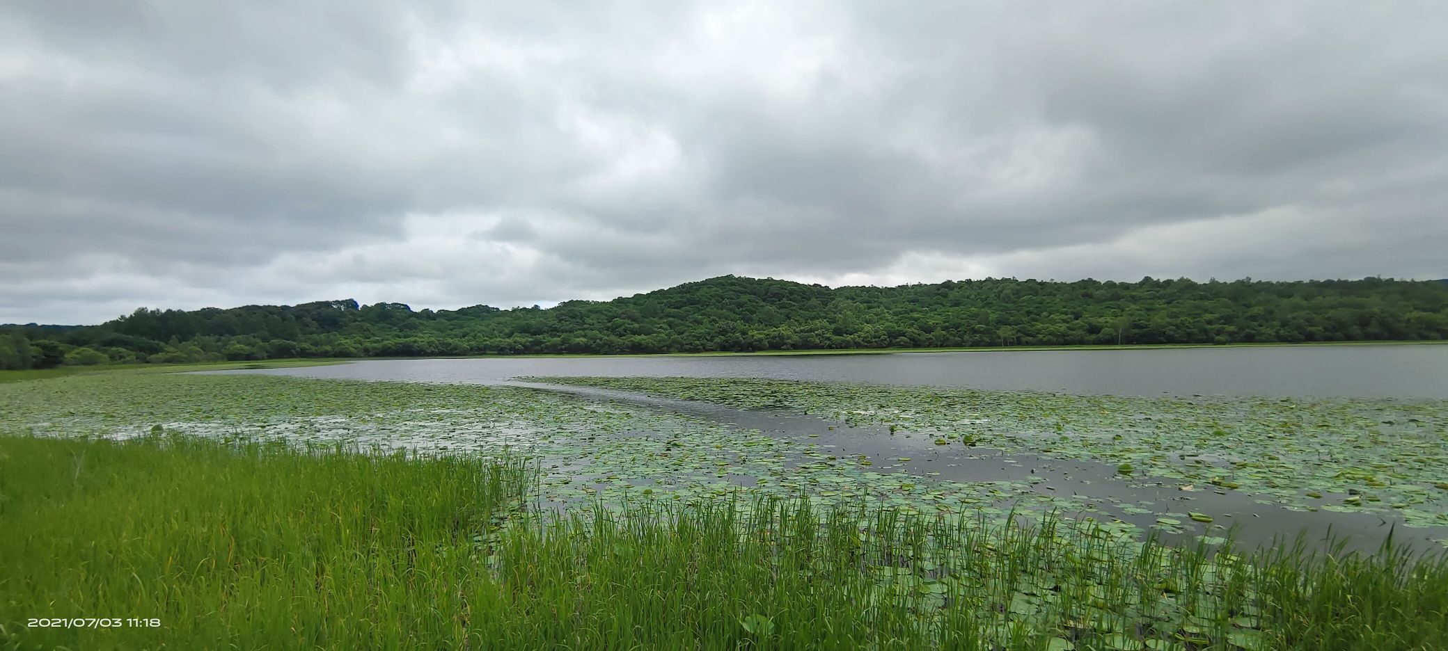 莲花湖公园