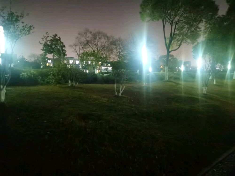 安庆大学(磬苑校区)-绿化公园