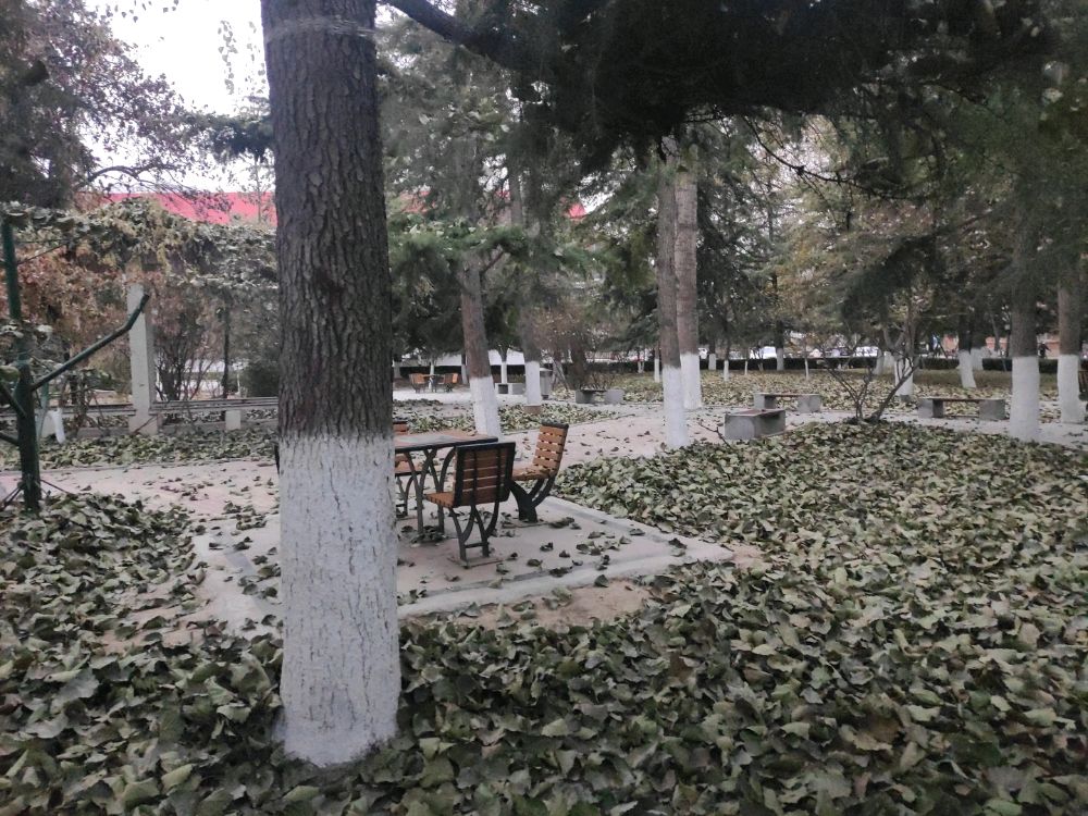 兰州交通大学-花园(网球场旁边)