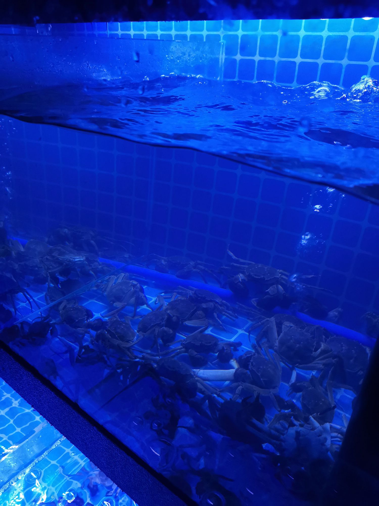 鲜乐舫海洋自助餐