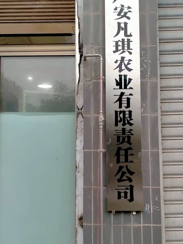 四川省广安市广安区恒升镇步行街