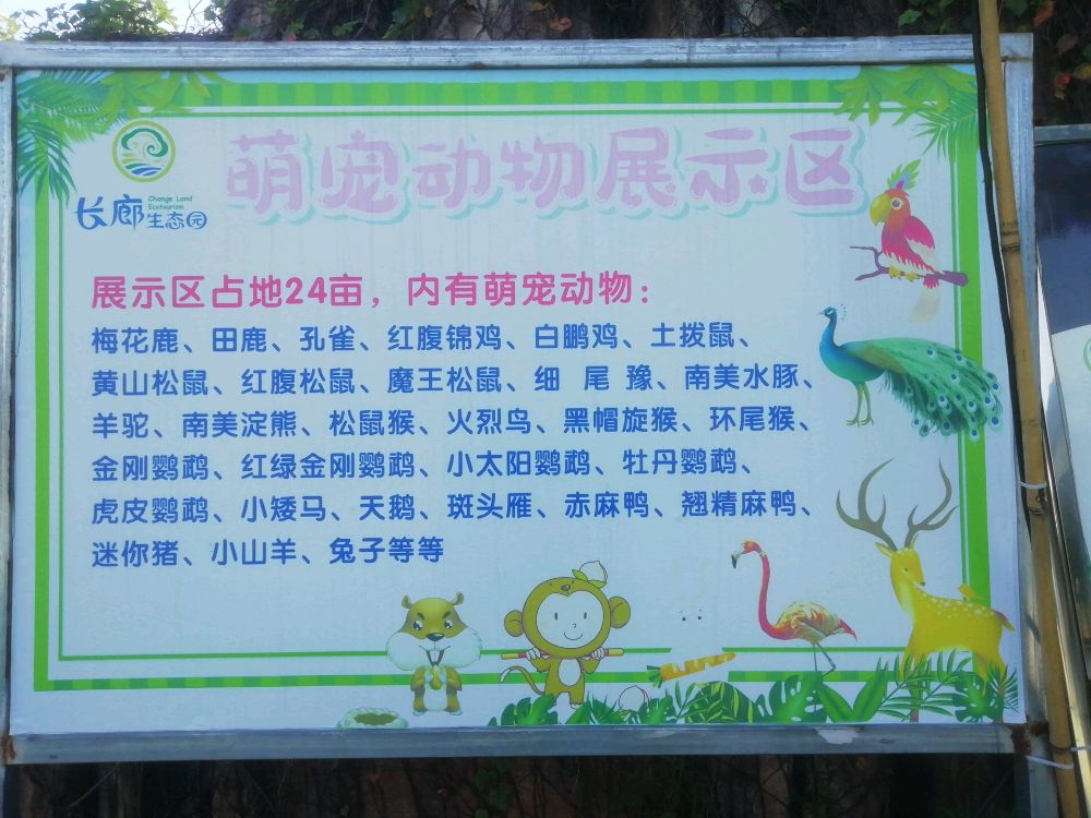 萌宠动物园