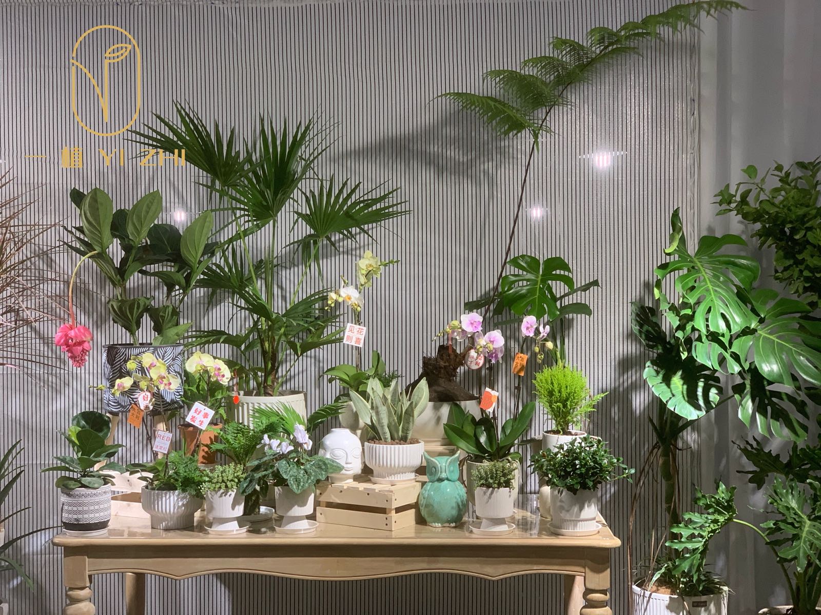 一植园艺