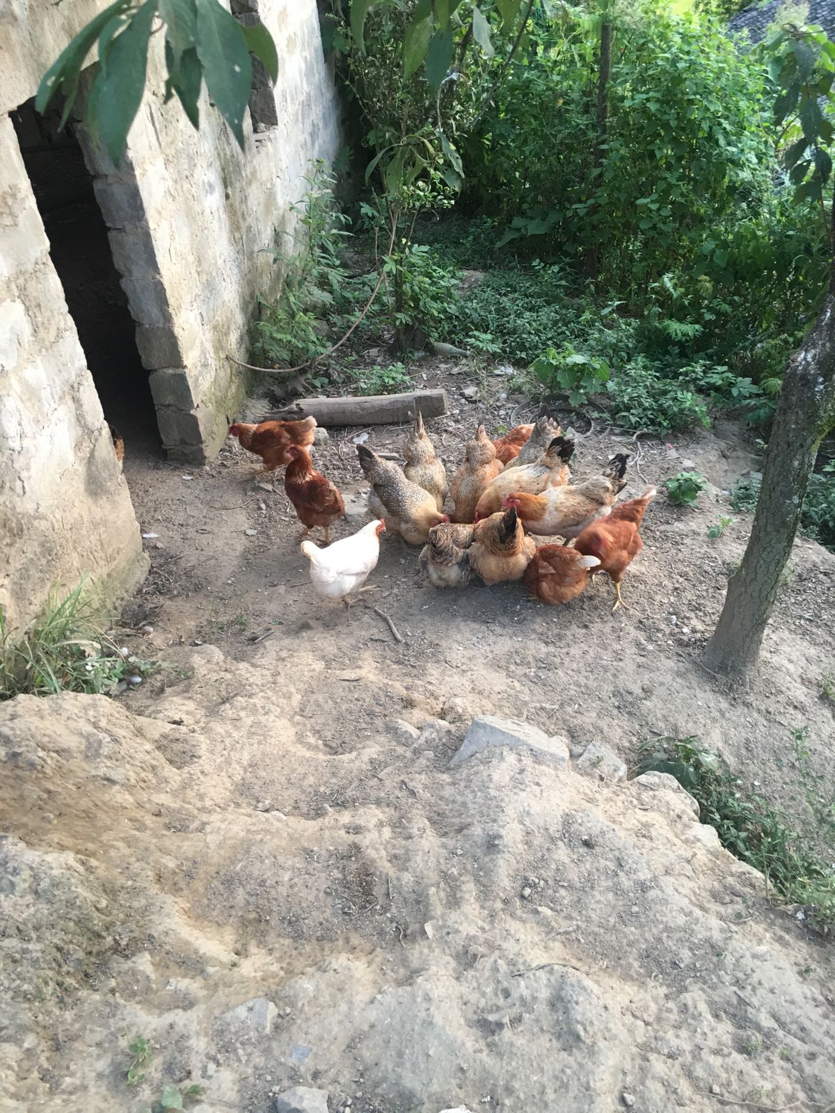 登高钓鱼场