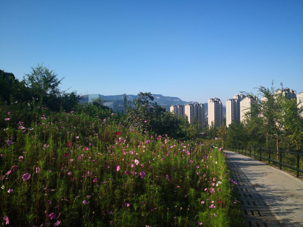 云平公园