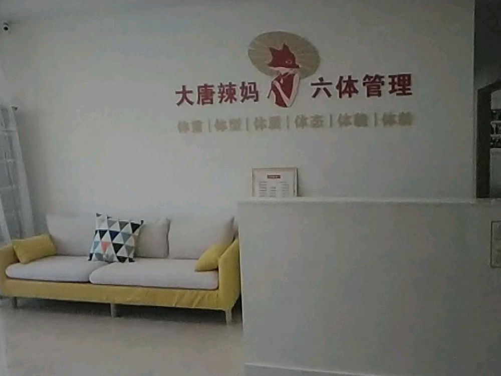 大唐辣妈绝技减肥(金海湾豪庭店)