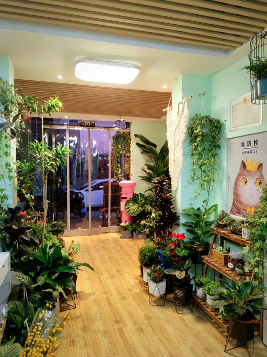 花榆花店