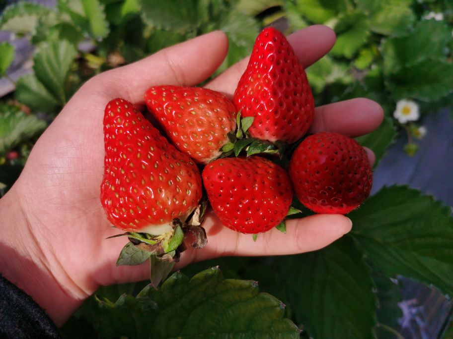 美丽南方·九品居庄园