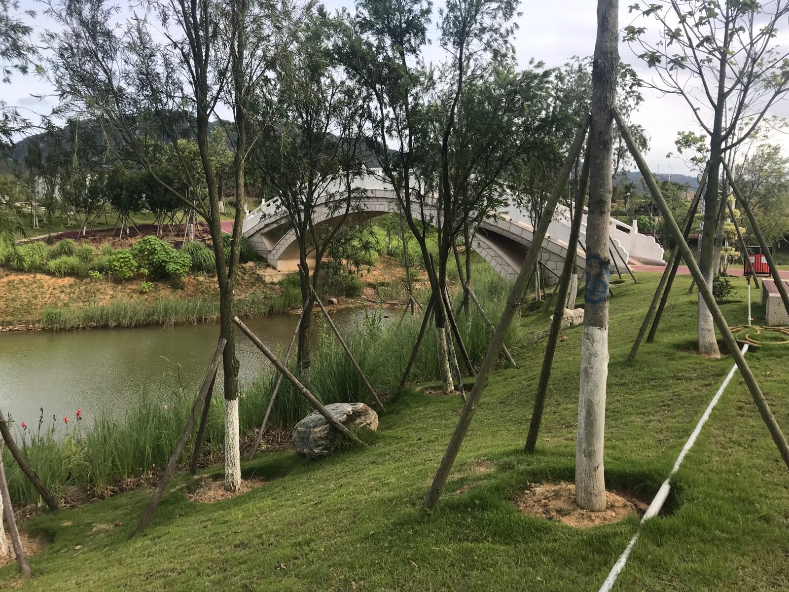 香山湿地公园