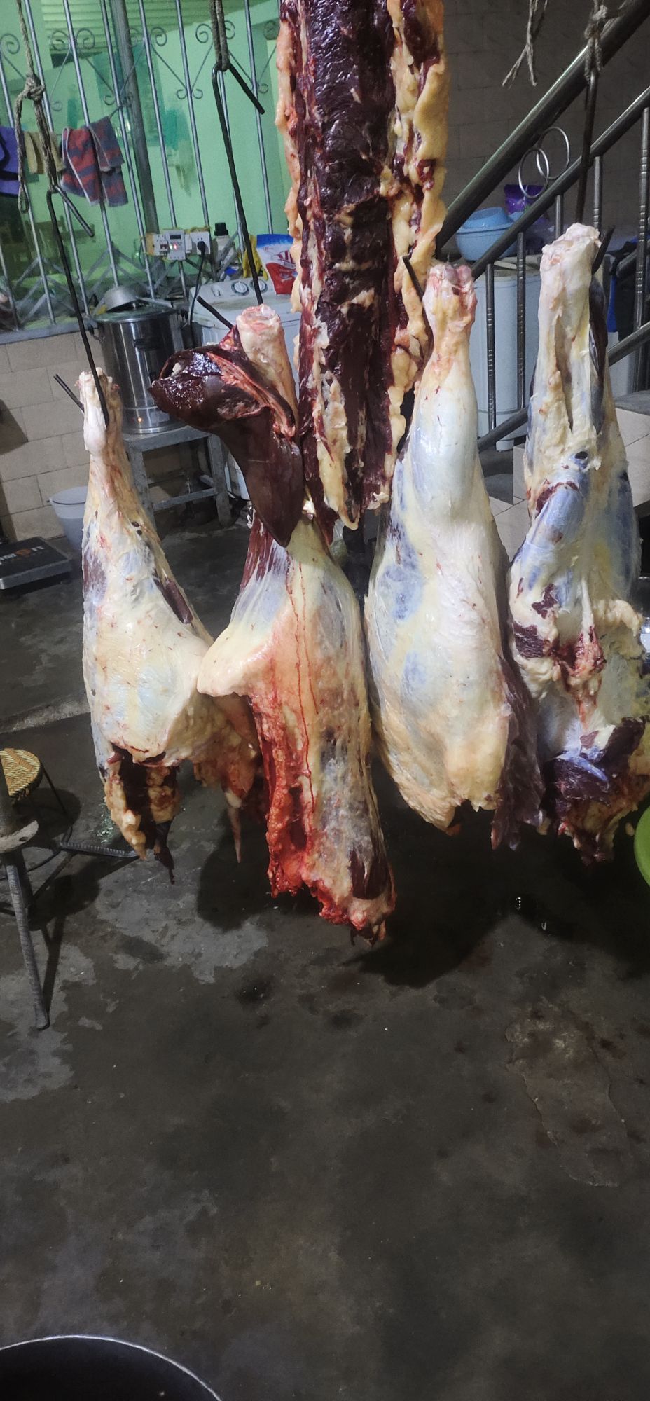 公郎清真牛肉馆(原生态黄牛)