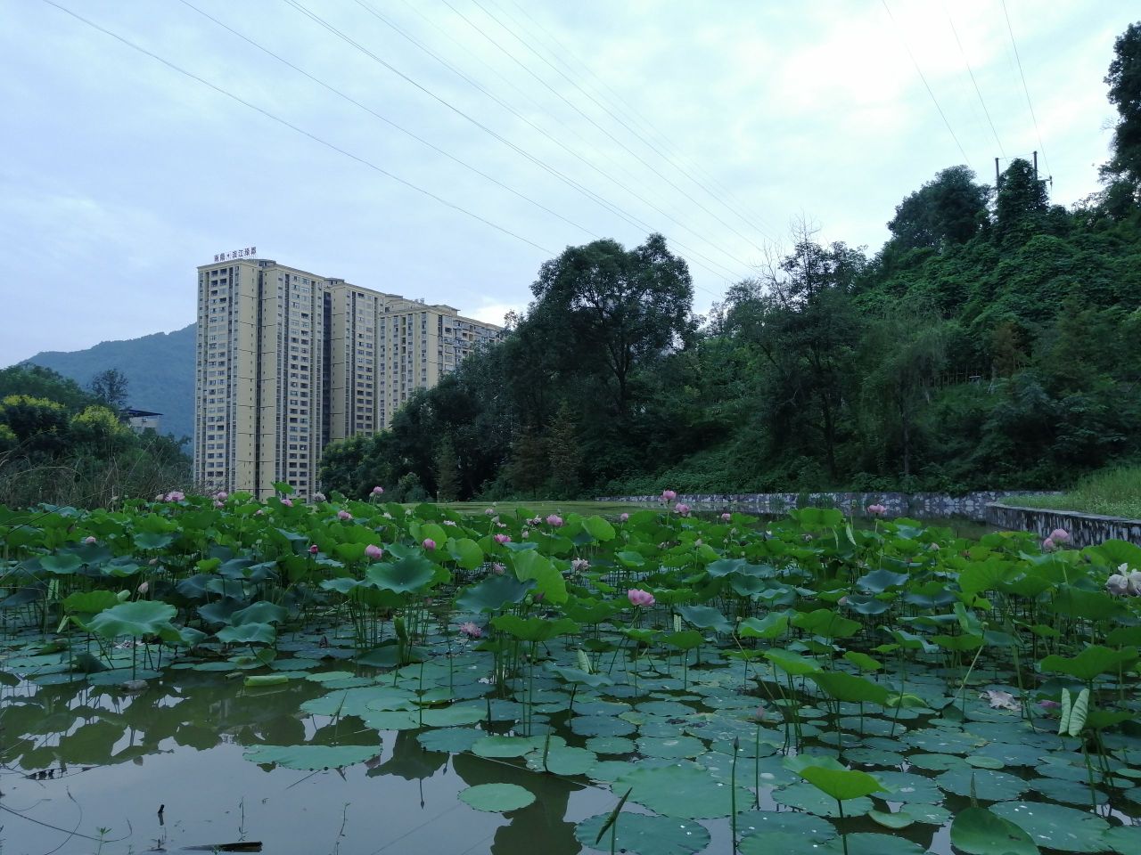 巴山红军公园