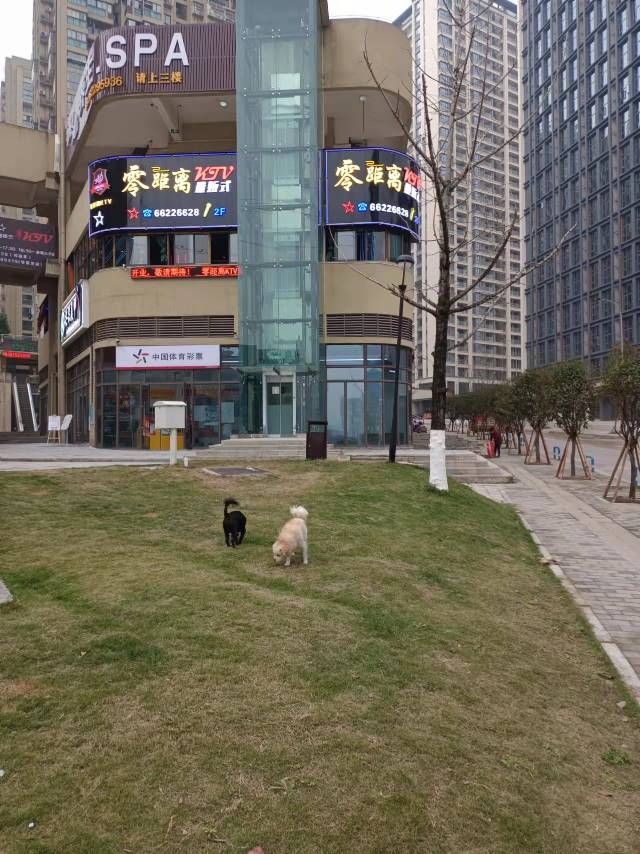 零距离量贩kKTV