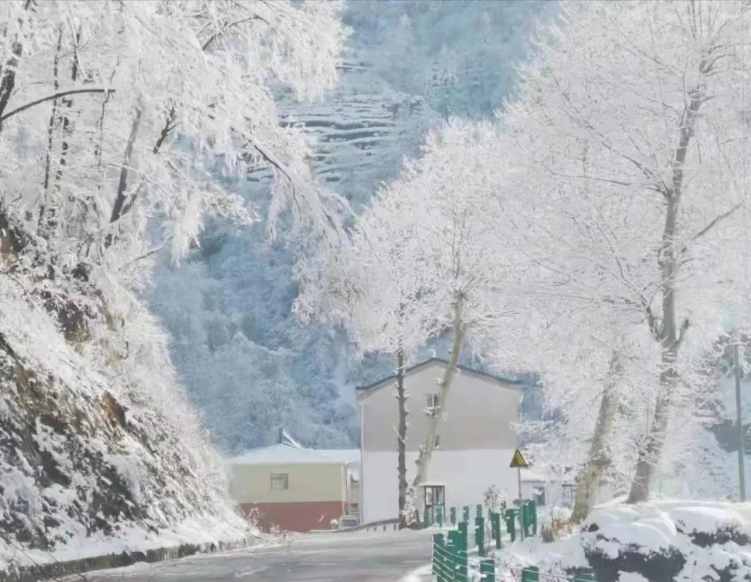 广西壮族自治区桂林市全州县永岁镇左江村