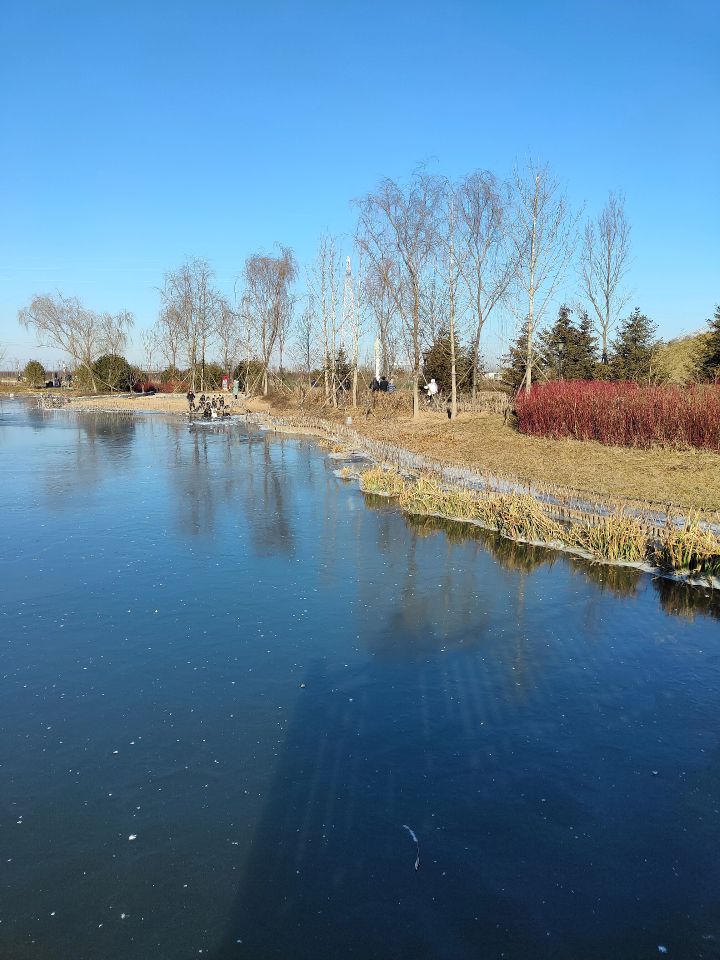 龙湾湿地公园天鹅湖