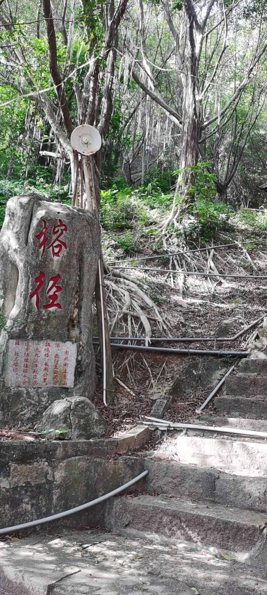 福建省漳州市龙文区榜山镇梧浦村后岐山