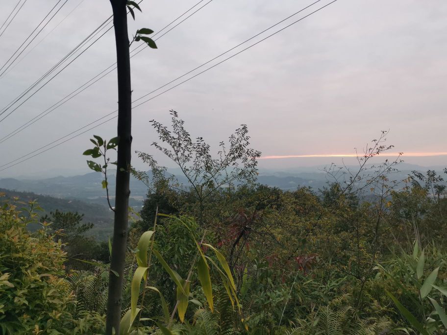 飞霞山顶休闲农场