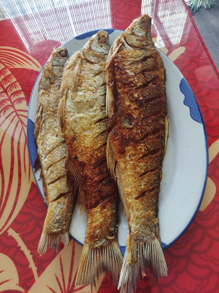 查干湖鱼小姐饭庄