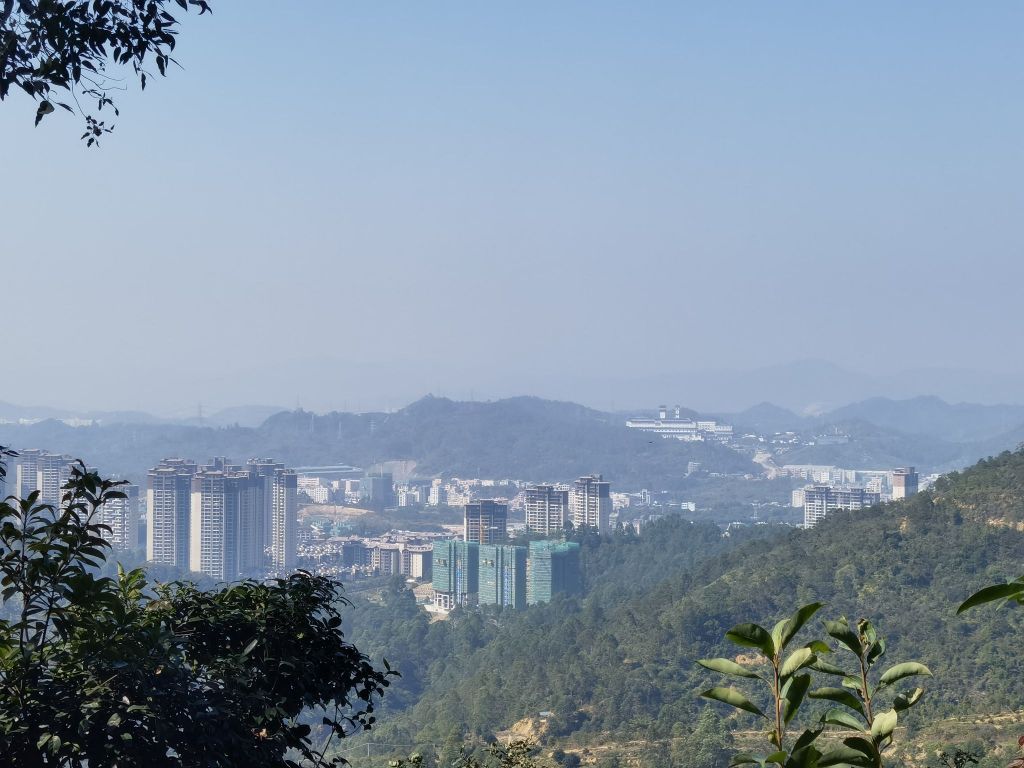 碧桂园润杨溪谷水杉湿地公园