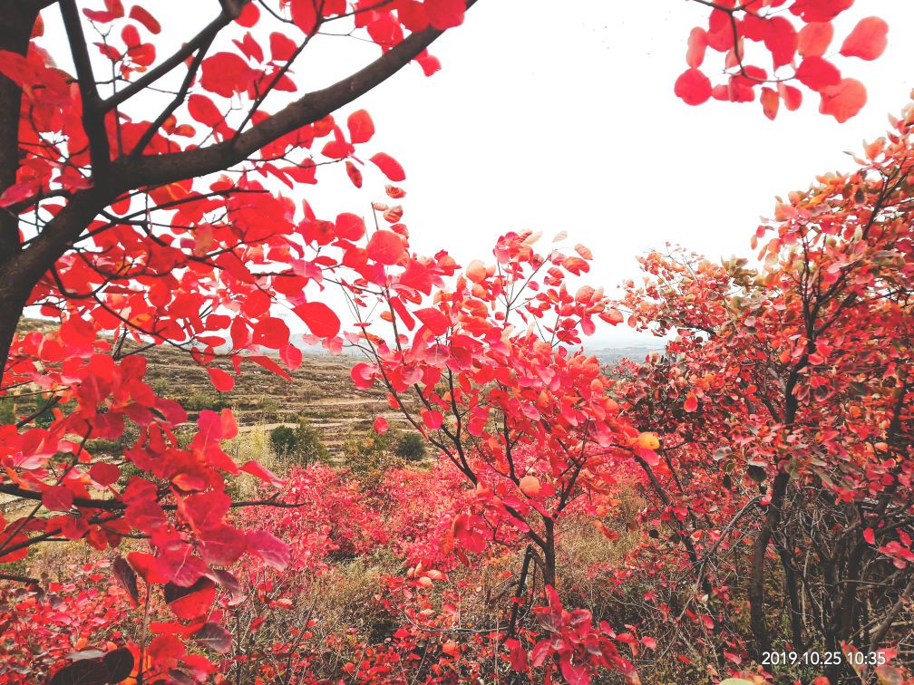 平顶山石板河旅游景区