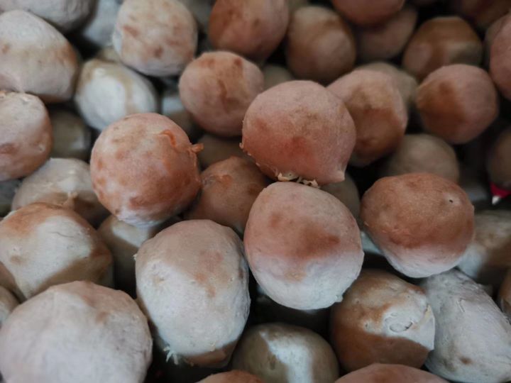 桥西牛肉店(总店)