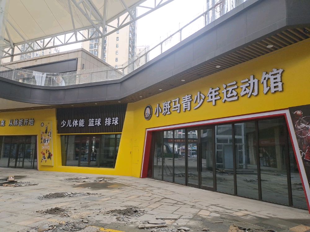 小斑马青少年运动管