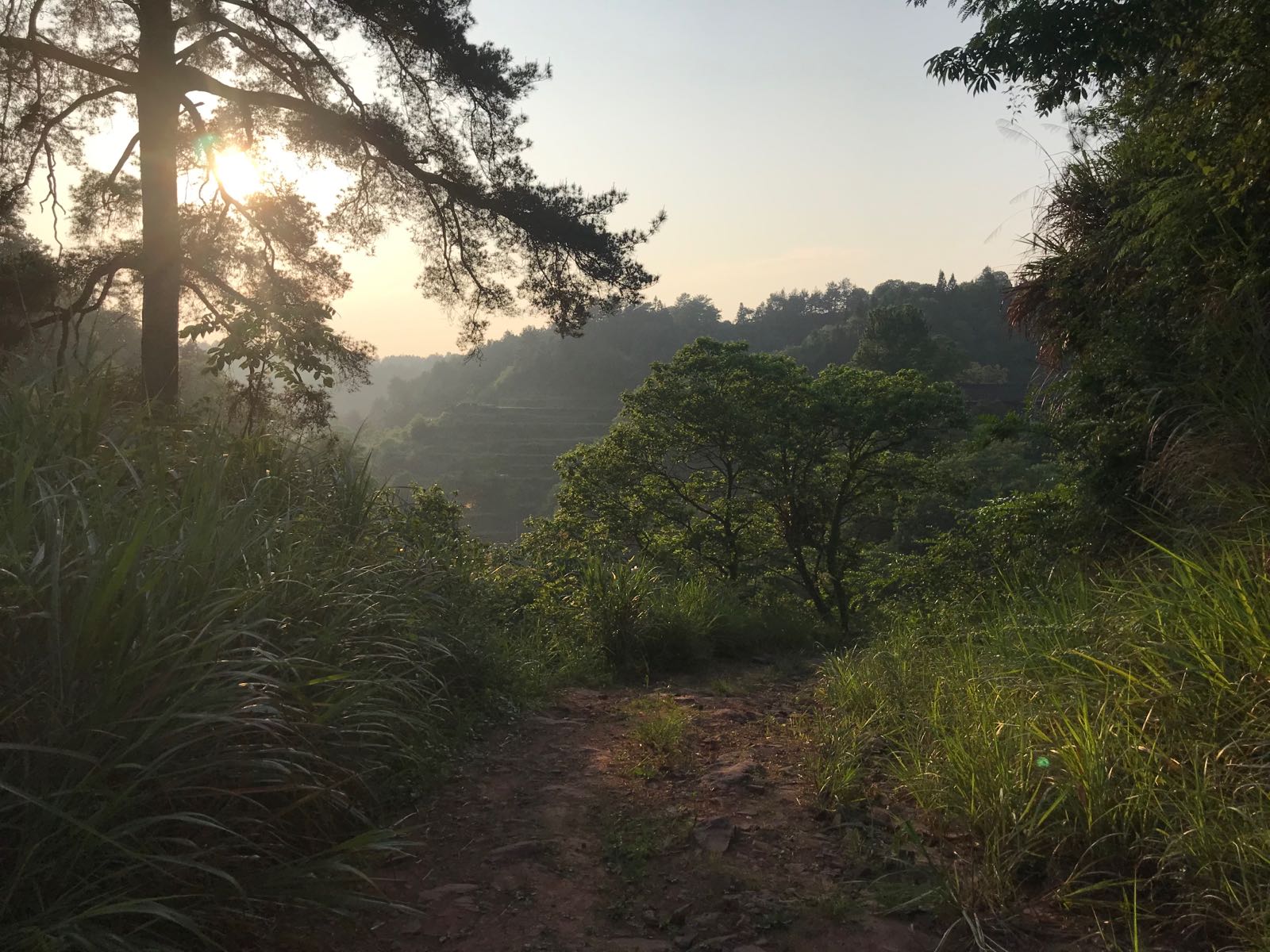 湖南省湘西土家族苗族自治州吉首市白岩乡杨柳村