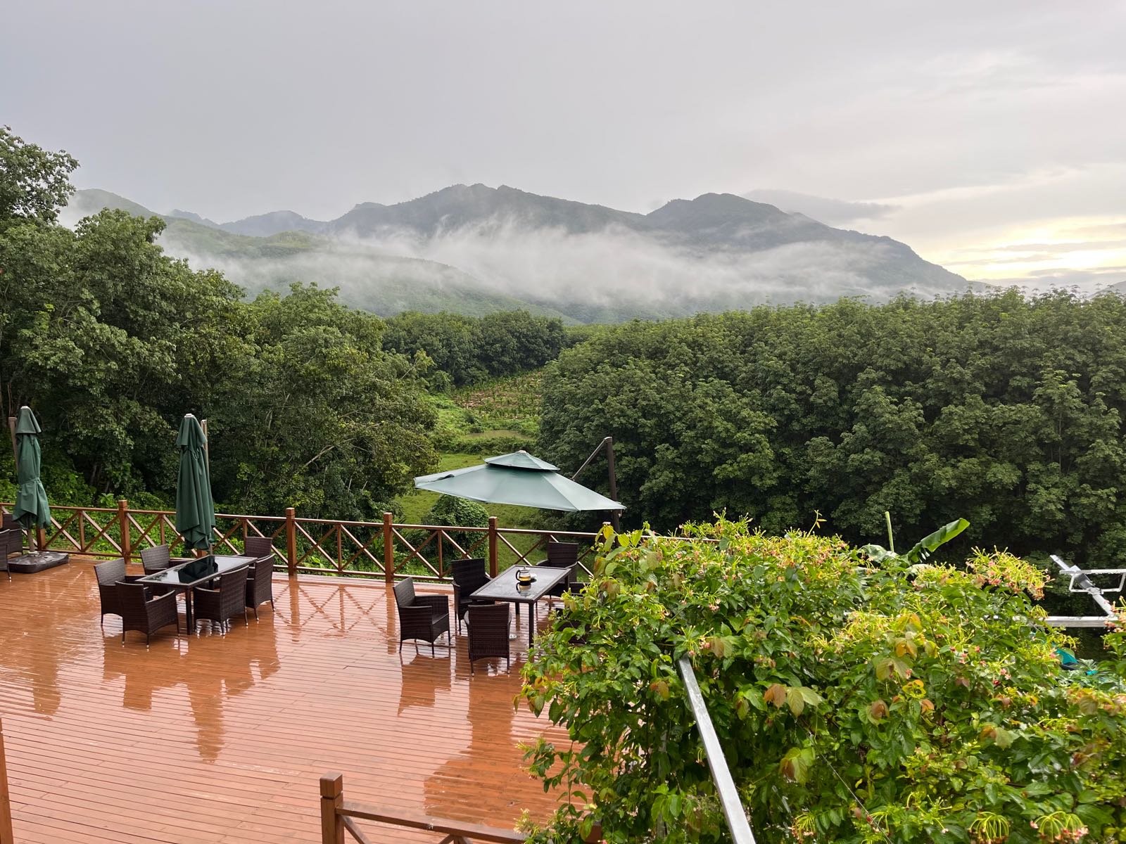 海南紫金陶文化发展有限公司