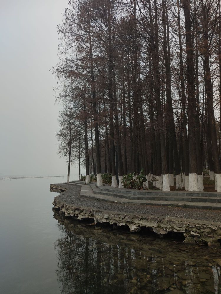 洪山区南湖游园绿道