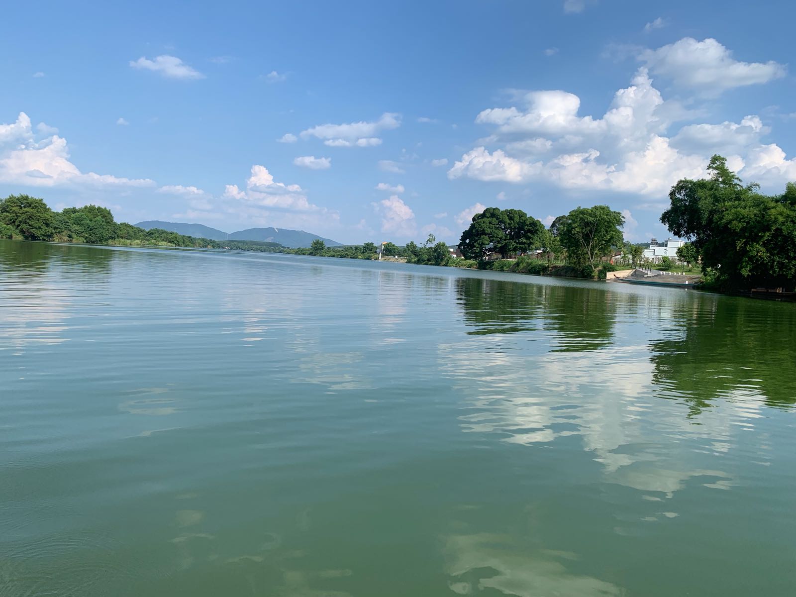 水口村油菜华基地