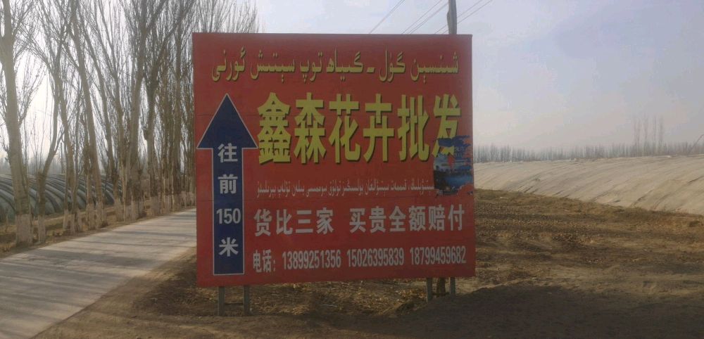 鑫森花卉批发