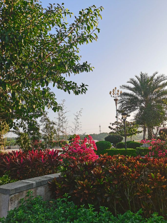 宝安公园家-西门