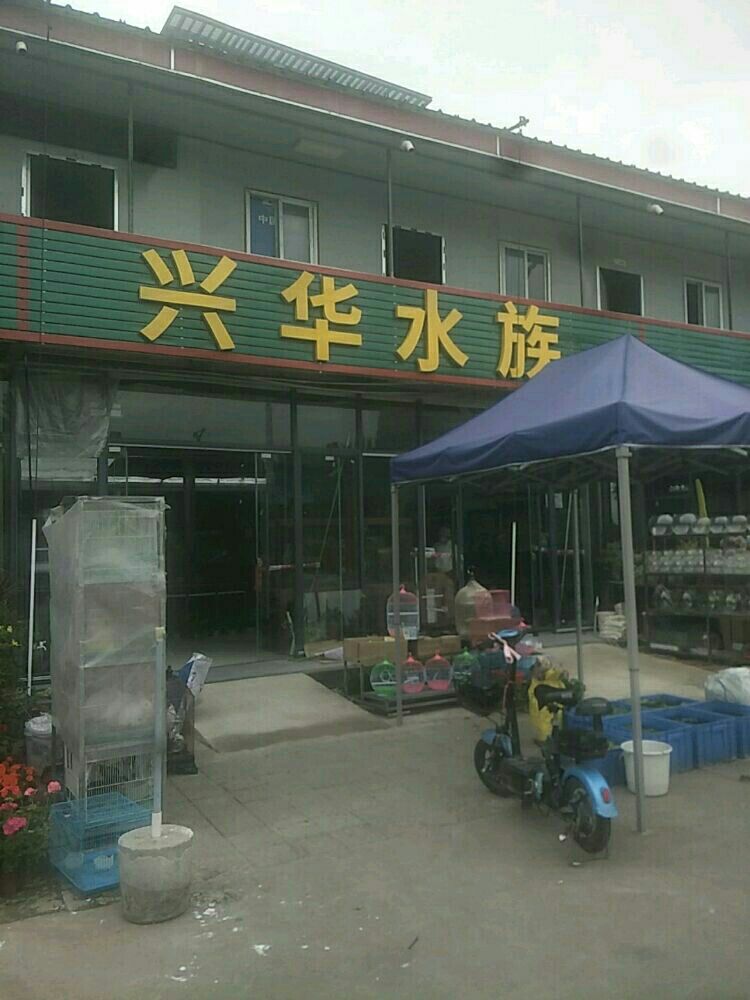 兴华水族(贝尔路店)