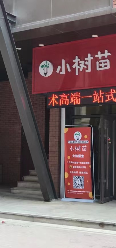 小树苗跆拳道
