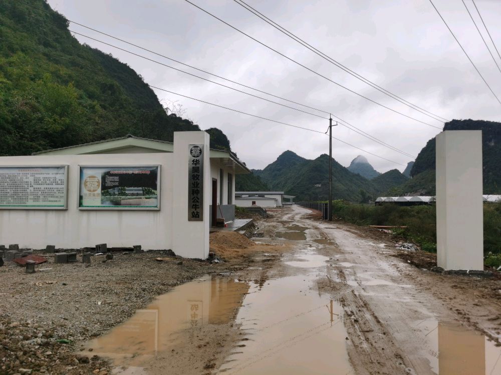 广西壮族自治区崇左市天等县进结镇团乐村团屯洞宁农场