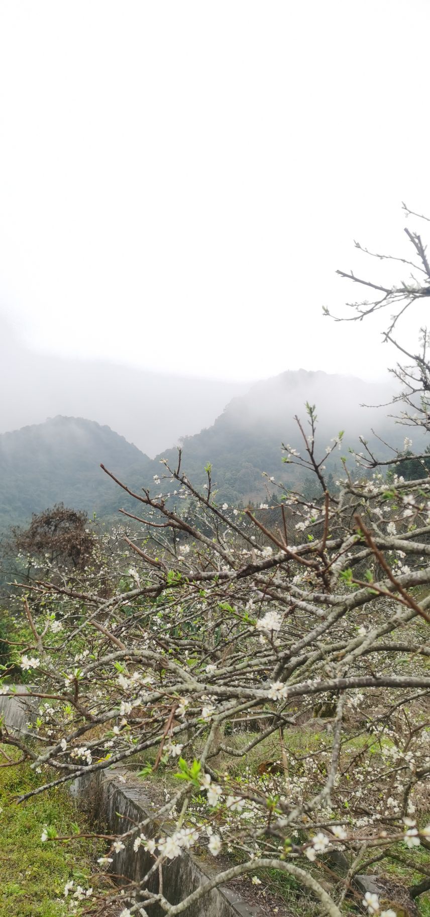 桂峰山风景旅游区