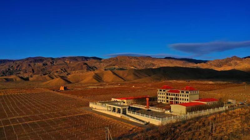 宁夏西御王泉国际酒庄有限公司