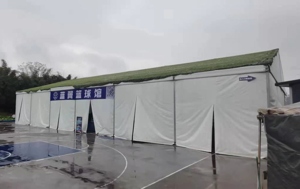 蓝翼篮篮球