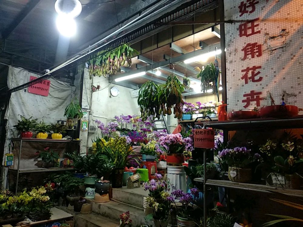 江门新会花街好旺角花店