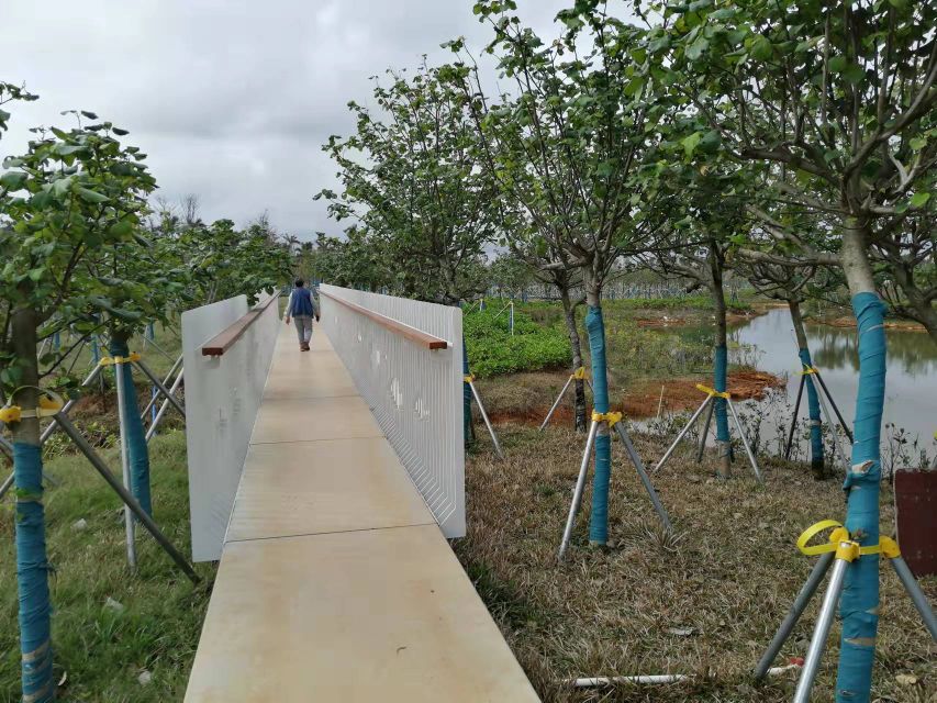 道孟河湿地公园