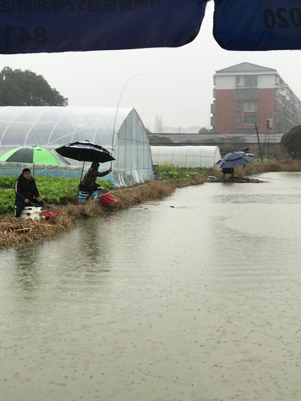 老兵钓鱼场