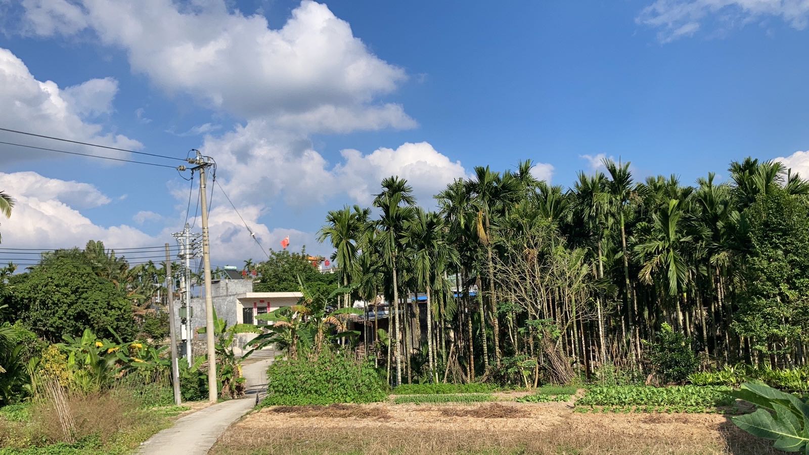 海南省松涛林场