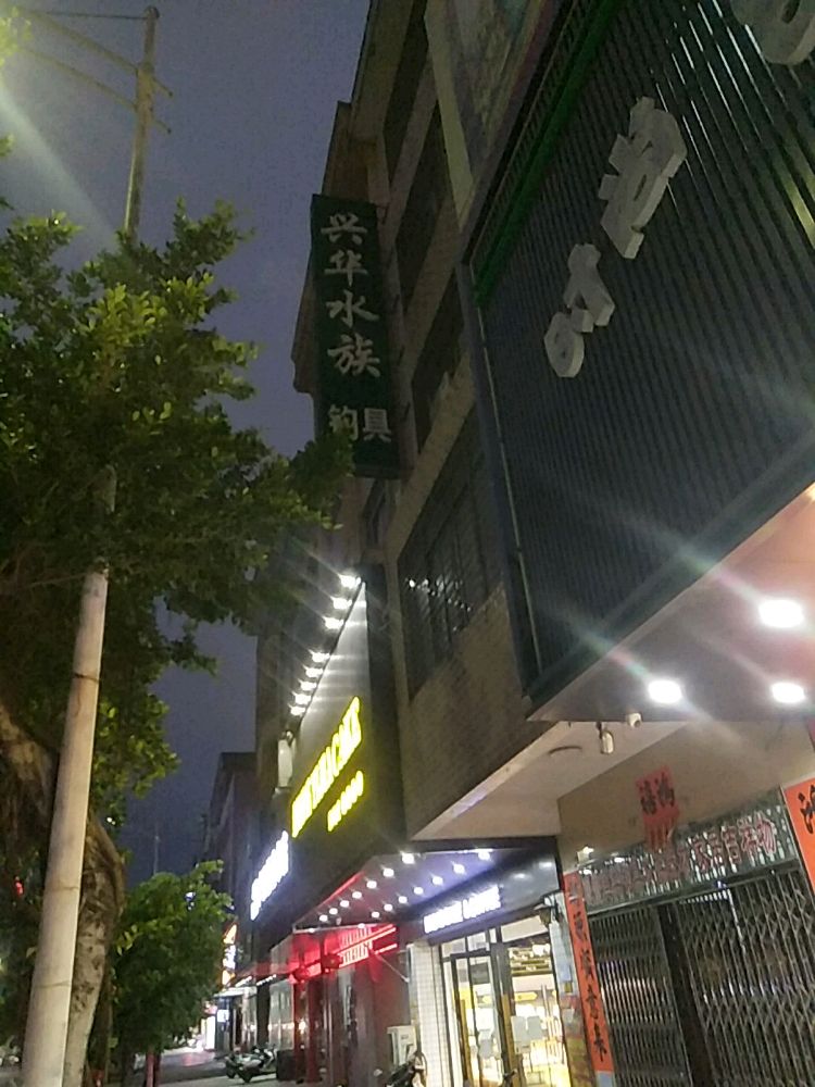 兴华水族(兴华路店)